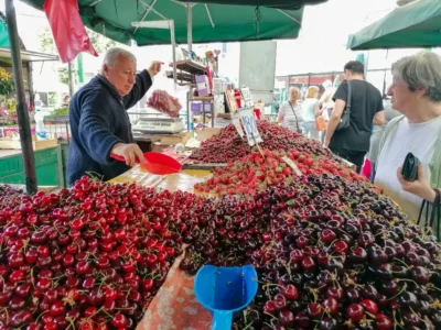 belgrad-markt-zeleni-venac-frisches-obst Frische Kirschen auf einem Markt in Belgrad während einer kulinarischen Tour