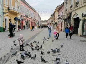 novi-sad-dunavska-strasse